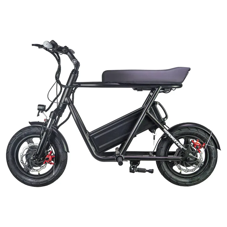 EMOVE RoadRunner