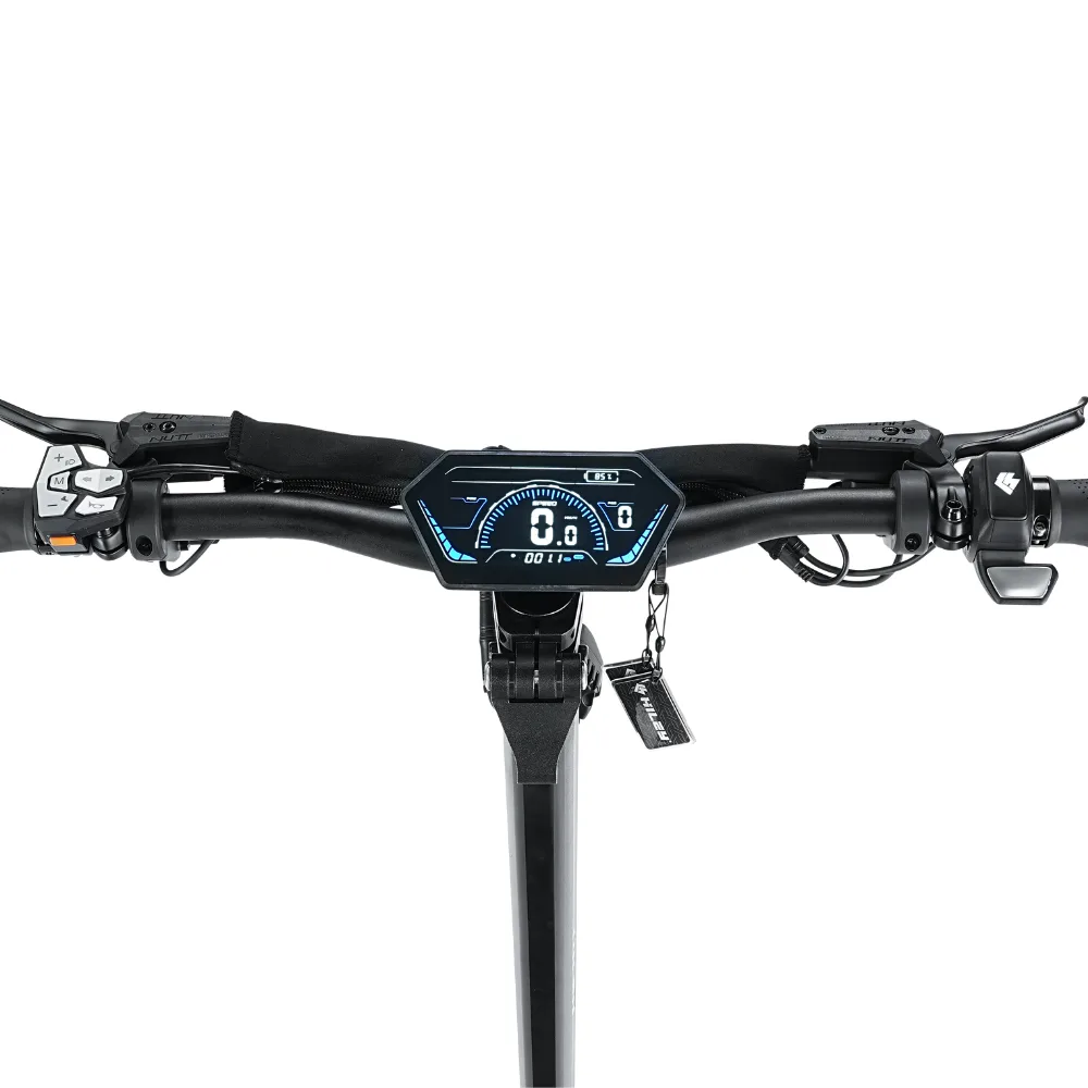 Hiley Tiger SUPRA 45Ah electric scooter, display console