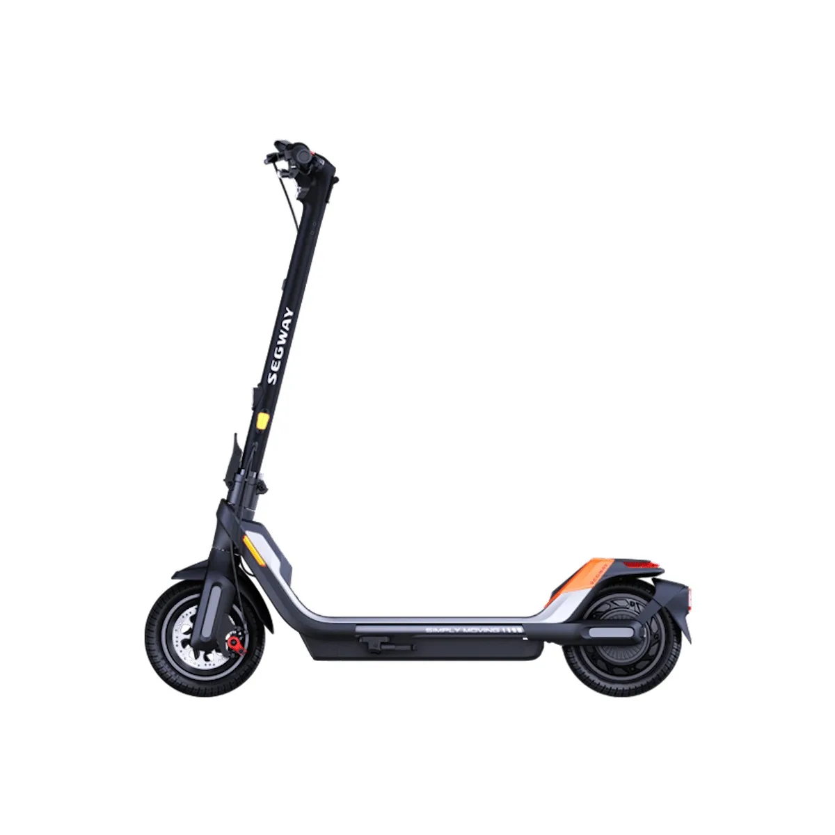 p65 side view